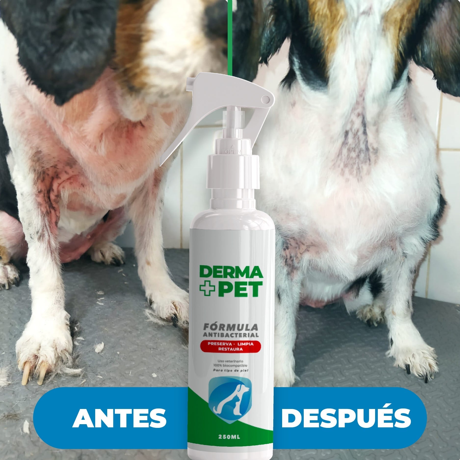 🐶🐱DermaPet Adios Alergias™ + Envio Gratis 🎁