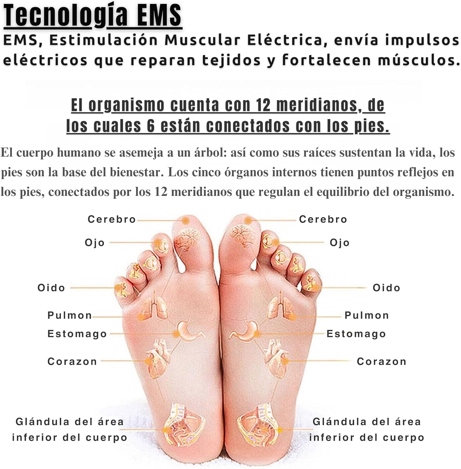SÚPER Masajeador Eléctrico Para Pies EMS