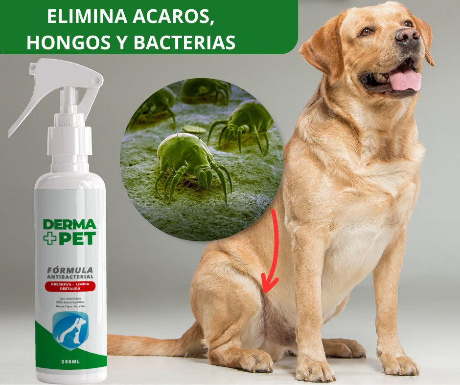 🐶🐱DermaPet Adios Alergias™ + Envio Gratis 🎁
