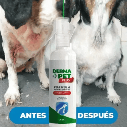 🐶🐱DermaPet Adios Alergias™ + Envio Gratis 🎁